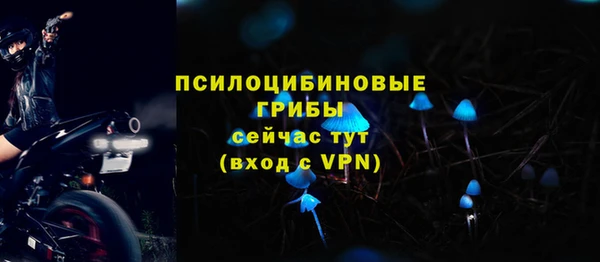 ECSTASY Абдулино