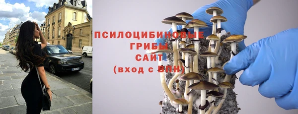 мет Абаза