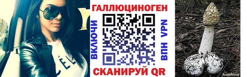 Псилоцибиновые грибы Psilocybine cubensis наркота Сим